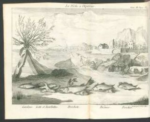 Tafel: La Pêche à l'Epervier.