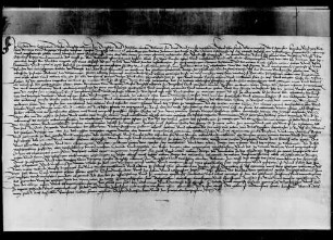 Der Deutschordensmeister Endres von Grunbach bestätigt die wörtlich aufgenommene Stiftung in Riet WR 14 326.