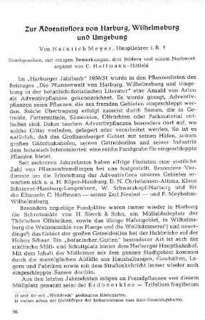 Zur Adventivflora von Harburg, Wilhelmsburg und Umgebung