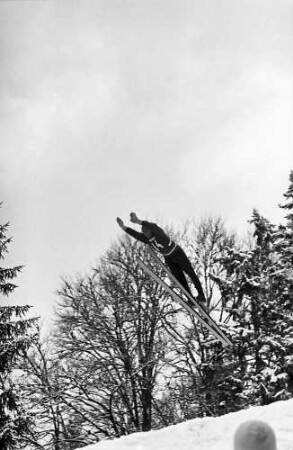 Hinterzarten: Springer