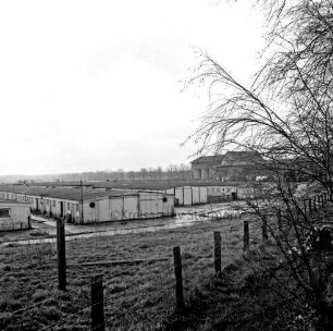 Heinrichshof, Gut: stillgelegte Schweinemastanlage: verfallene Schweineställe: im Hintergrund rechts Futtermittelgebäude: vorn Böschung mit Stacheldrahtzaun und Büsche