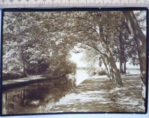 Fotografie, Soldin (Myślibórz)
