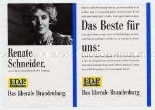 Wahlflugblatt der FDP Brandenburg zur Landtagswahl 1990 mit Vorstellung der Spitzenkandidatin Renate Schneider