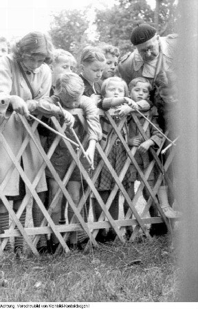 Dresden. 750-Jahr-Feier Dresden: Tag der Gewerkschaften, Veranstaltungen - Kinderfest u.a. mit historischen Automobilen, Pioniereisenbahn im Großen Garten, Fahrt in einer Straßenbahn - Gondelfest - Modenschau auf der Freilichtbühne "Junge Garde" im Großen Garten, etc., Juni 1956 (außerdem: Radrennbahn Bärnsdorfer Straße)