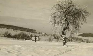 Altenberg-Schellerhau im Winter, vom Oberen Gasthof gesehen
