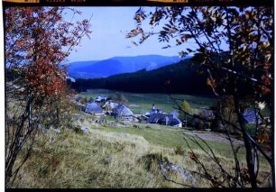Aeule: durch herbstliche Sträucher auf Häuser und Kapelle