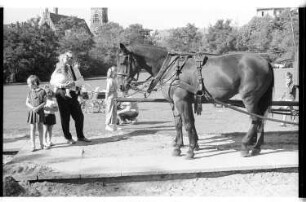 Kleinbildnegativ: Gartenbauamt, Volkspark Wilmersdorf, 1964