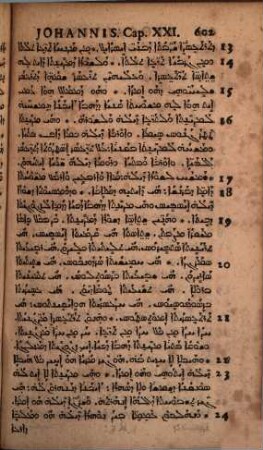 Novum Domini Nostri Jesu Christi Testamentum Syriace : Cum punctis Vocalibus, & Versione Latina Matthaei, ita adornata, ut, unico hoc Evangelista intellecto, reliqui totius Operis libri, sine interprete, facilius intelligi possint