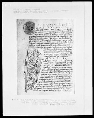Haymonis expositio zu den Briefen des Apostels Paulus — Initiale P(aulus), Folio 1verso