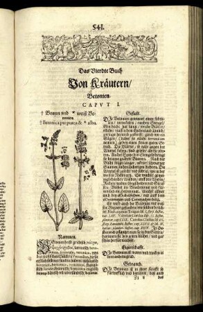 Caput I. - Caput XXIIX.