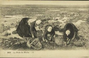 La Pêche des Moules.