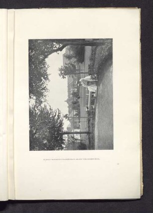 Rudolf Virchow-Krankenhaus, Blick vom Rosenhügel