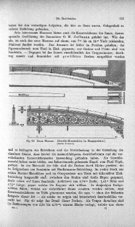 Fig. 60. Neues Museum