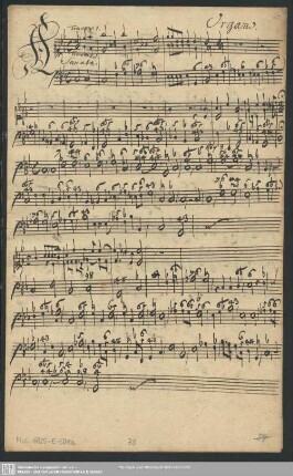 Stimmensatz 2 [Schreiber: Samuel Jacobi] : Mus.1825-E-501a