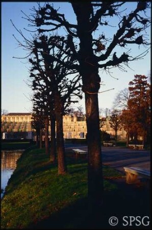 Potsdam, Park Sanssouci, Bullenwiese, Kastanien bei den Stichgräben.