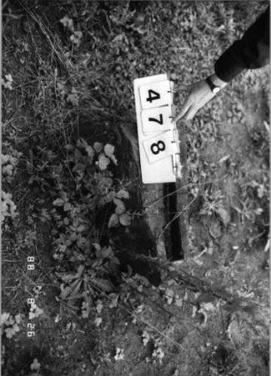 Grabstein 478 (Index: 100095257) Zustand: Fragmente Beschreibung: Fragmente: Grabstein 478