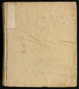Dissertatio Inauguralis Medica Sistens Theoriae De Principio, Febres Inflammatorias Epidemicas Gignente, Rudimenta