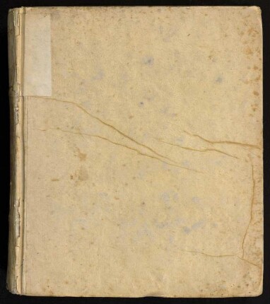 Dissertatio Inauguralis Medica Sistens Theoriae De Principio, Febres Inflammatorias Epidemicas Gignente, Rudimenta