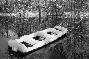 Winterstimmung am Altrhein