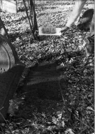Grabstein 484