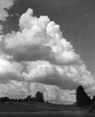 Wolkenbilder. Cumuluswolken über einer Koppel