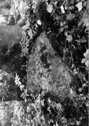 Grabstein 1130