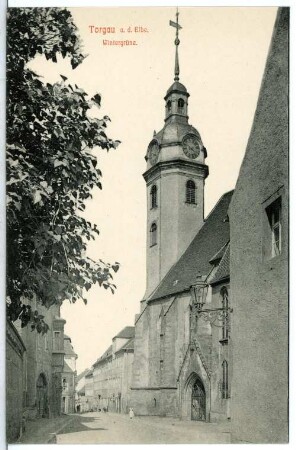 Torgau. Wintergrüne