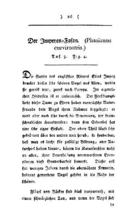 ¬Der¬ Impeyen-Fasan : (Phasianus curvirostris) ; Taf. 3, Fig. 4