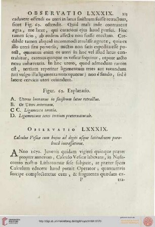 Observatio LXXXIX