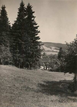 Altenberg (Sächsische Schweiz-Osterzgebirge). Wohnhaus am Waldrand