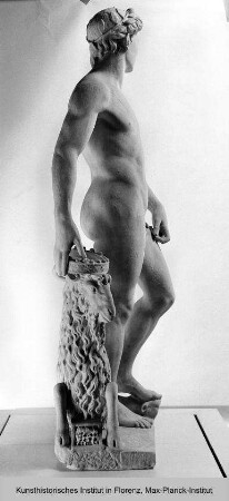 Apoll (Allegorie auf Cosimo I. de' Medici)
