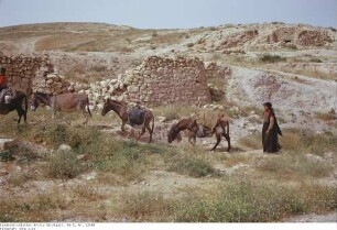 Israel: Wüste Juda
