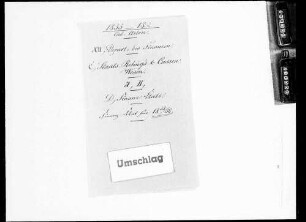 Finanzetat für 1855/1858 (1855-1862)
