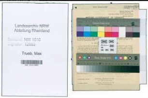 Entnazifizierung Max Trueb , geb. 20.11.1905 (Masch.Meister)
