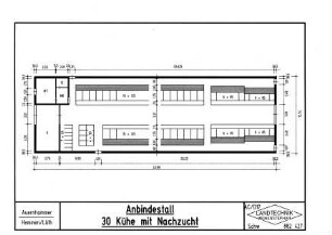 Anbindestall - 30 Kühe mit Nachzucht