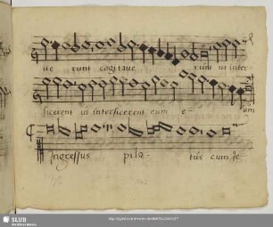 [Senfl, Ludwig:] Ingressus Pilatus