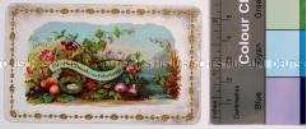 Glückwunschkarte zum Geburtstag; 18. May 1856