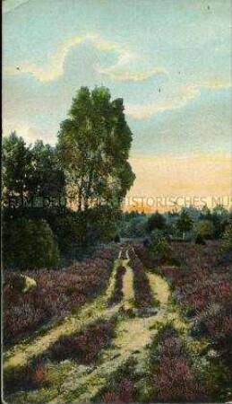 Ansicht aus der Lüneburger Heide