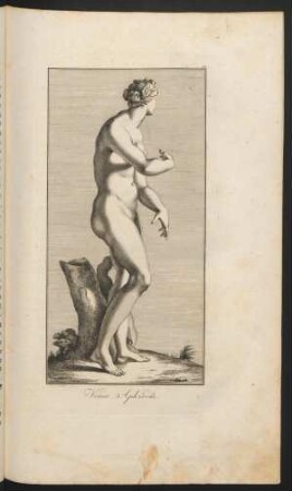 Venus Aphrodite