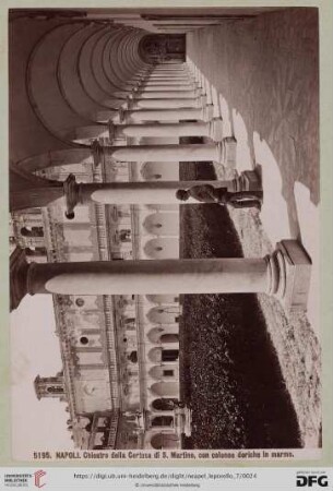 5195. NAPOLI. Chioszro della Certosa di S. Martino, con colonne deriche in marmo.