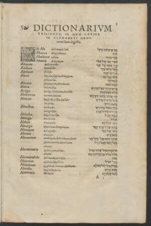Dictionarium Trilingue, In Quo Latina In Alphabeti Ordinem sunt digesta.
