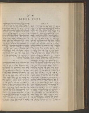 Liber Jobi