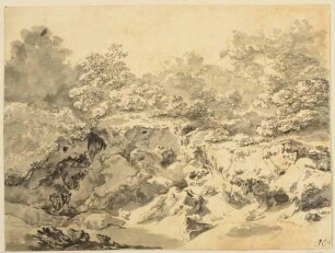 Landschaft mit bewachsener Felspartie