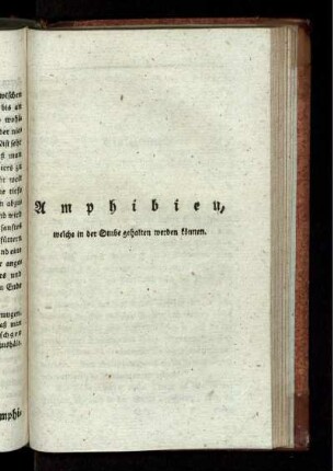 Amphibien.