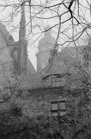 Blick durch Äste auf den Turm der Thomaskirche