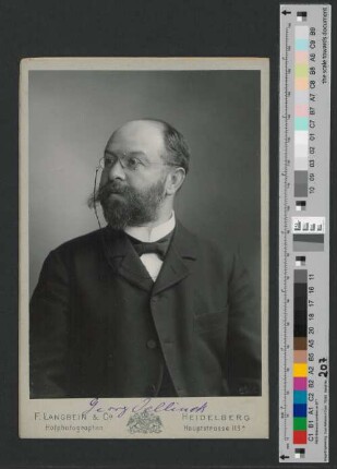 Georg Jellinek
