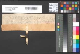 Revers als erzbischöflicher Vogt zu Ahrweiler: Ludwig von Meckenheim.