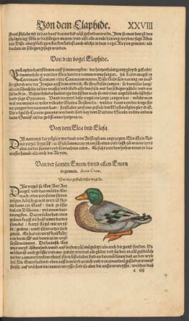 Von der zamen Enten/ unnd allen Enten in gemein. Anas Cicur.