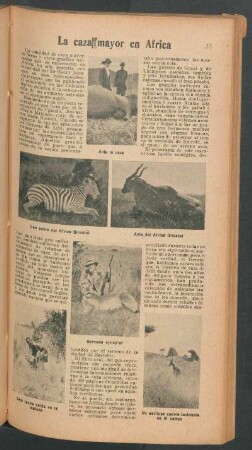 La caza mayor en Africa