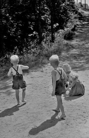Darß, spielende Kinder am Waldrand